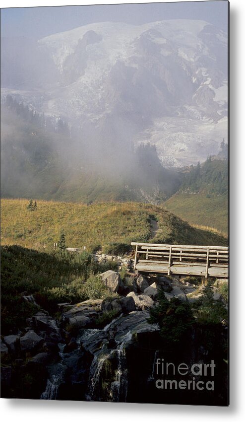 Mount Rainier Metal Print featuring the photograph Paradise Valley by Sharon Elliott