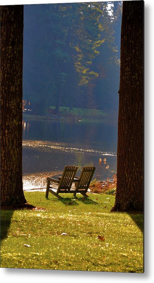 Bear Metal Print featuring the photograph Perfect Morning Place by Bill Cannon