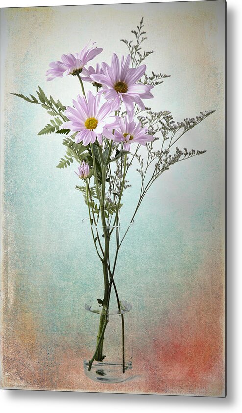 Daisy Metal Print featuring the photograph Pink Daisy by James Bethanis