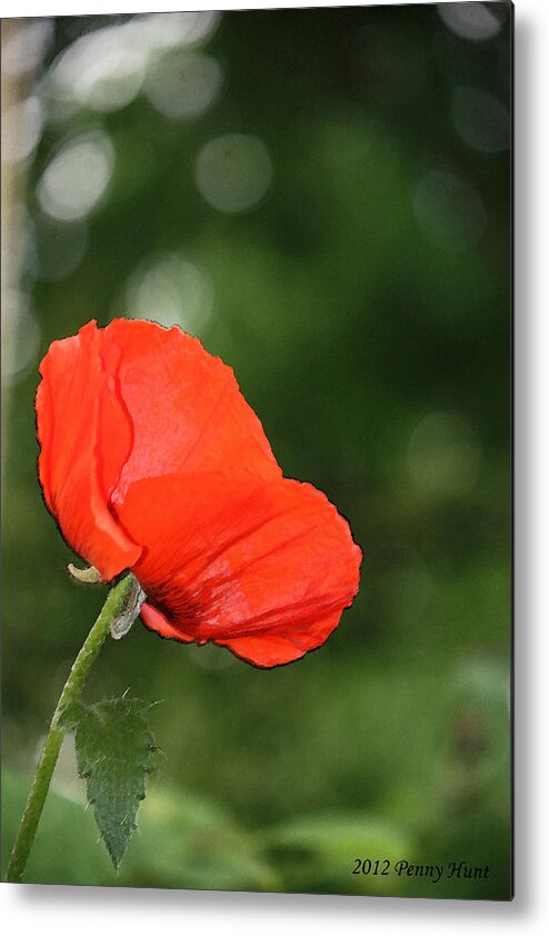 Poppy Metal Print featuring the photograph Poppy Dreams by Penny Hunt