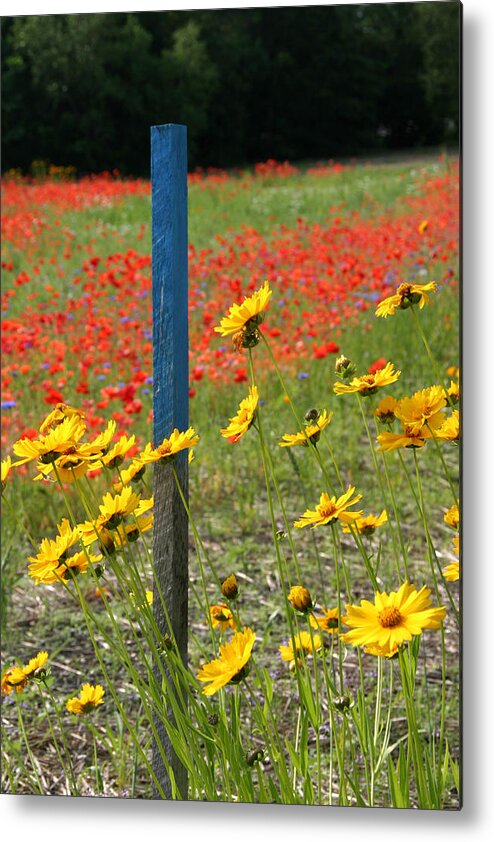 Primary Colors Metal Print featuring the photograph Primary Colors by Larry Landolfi