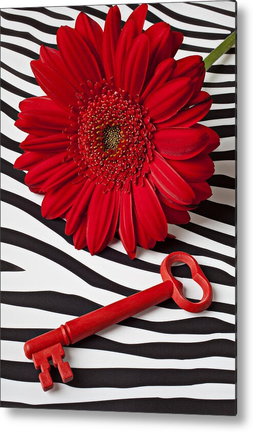 Red Metal Print featuring the photograph Red Mum and Red Key by Garry Gay