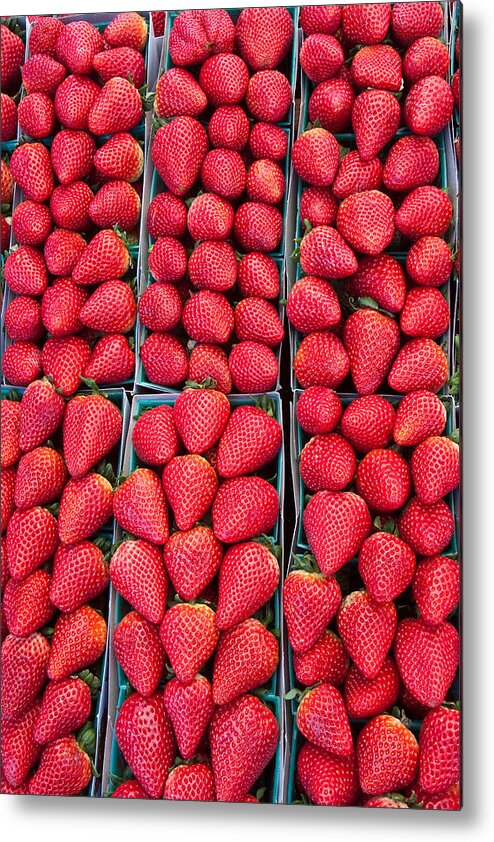 Berries Metal Print featuring the photograph Red Ripe Strawberry Row by Dina Calvarese