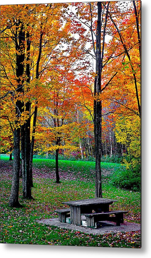 Fall.fall Foliage Metal Print featuring the photograph Rest Stop by Burney Lieberman