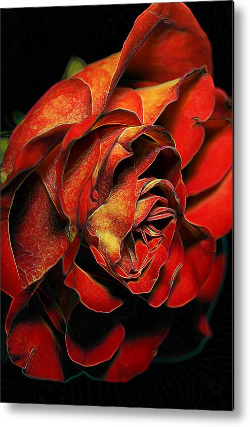 Red Rose Metal Print featuring the photograph Rosey Hues by Bill and Linda Tiepelman