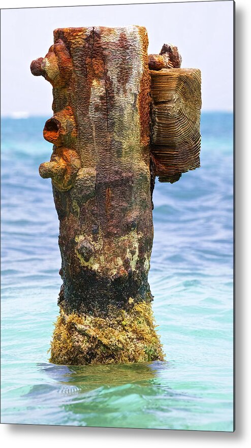 Aruba Metal Print featuring the photograph Rusted Dock Pier of the Caribbean II by David Letts