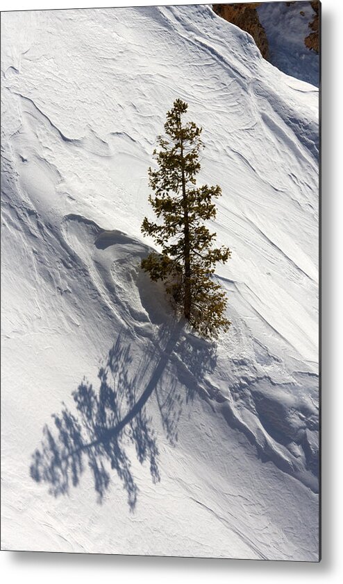 Bryce Canyon Metal Print featuring the photograph Snow Shadow by Karen Lee Ensley