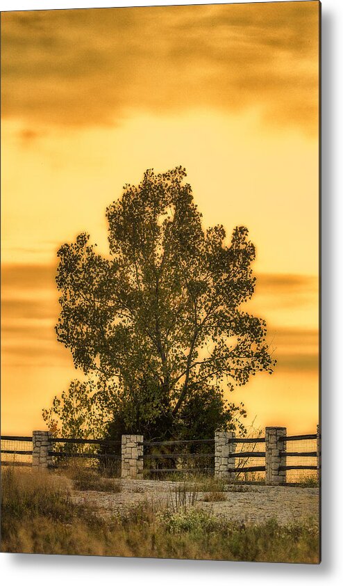 Klondike Park Metal Print featuring the photograph Soaking Up A Sunset Glow by Bill and Linda Tiepelman