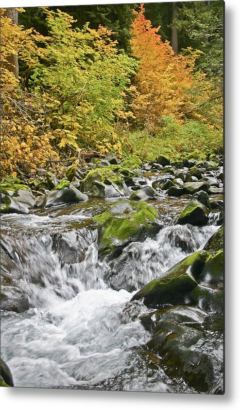 Sol Metal Print featuring the photograph Sol Duc Fall by Joseph Bowman