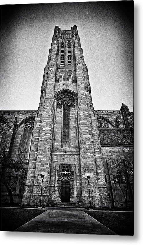 Cj Schmit Metal Print featuring the photograph Stand Tall Stand Strong by CJ Schmit