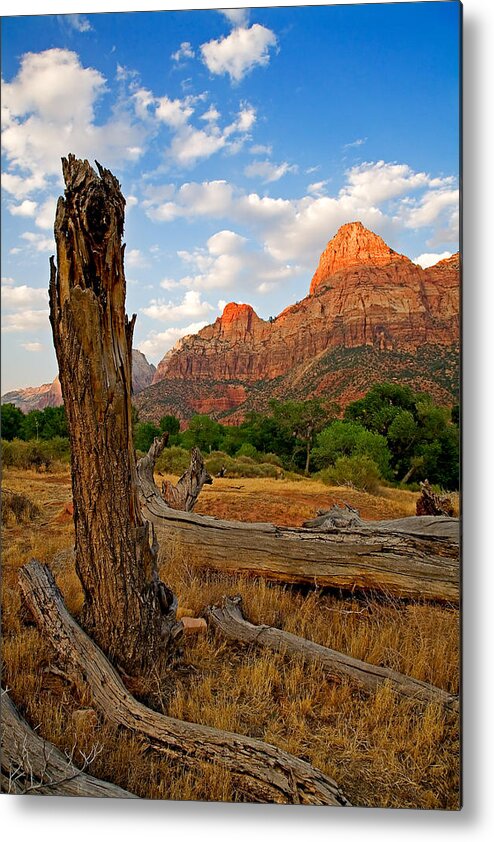 Landscape Metal Print featuring the photograph Stumped at Zion by Peter Tellone