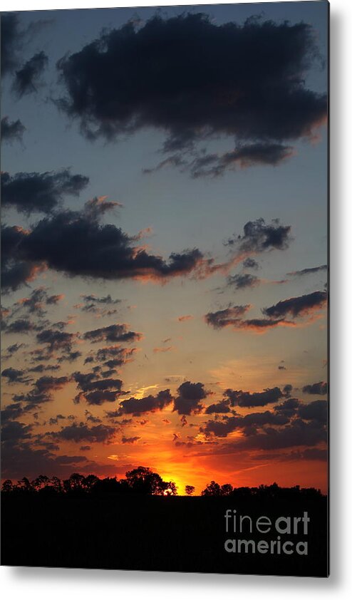 Landscape Metal Print featuring the photograph Sunrise Over Field by Everett Houser