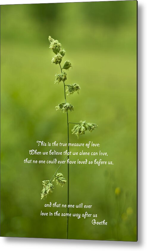 True Measure Of Love Metal Print featuring the photograph The Measure of Love by Georgia Clare