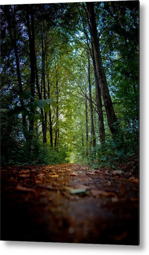 Alley Metal Print featuring the photograph The pathway in the forest by Michael Goyberg