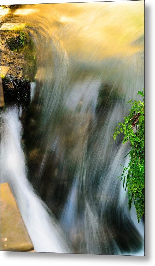 Stream Metal Print featuring the photograph The stream by Michael Goyberg