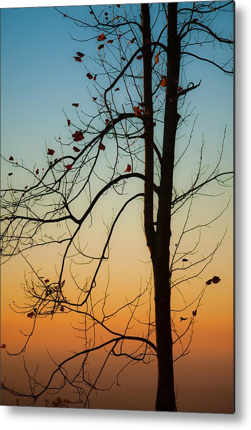 Landscape Metal Print featuring the photograph To The Morning by Joye Ardyn Durham