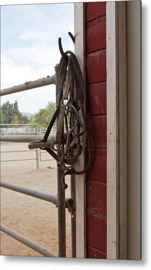 Bridle Metal Print featuring the photograph Tools of the Trade by Lorraine Devon Wilke