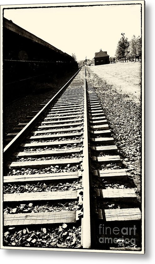 Train Metal Print featuring the photograph Tracks Of Our Ancestors by Leslie Leda