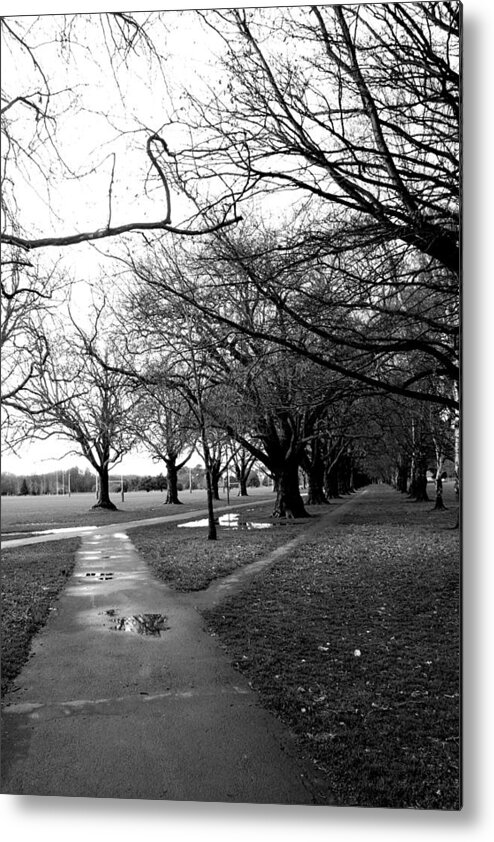 Pathway Metal Print featuring the photograph Tree and Pathway 4 of 6 by Roseanne Jones