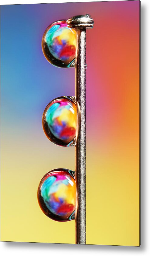 Pin Metal Print featuring the photograph Tropical Pin Drop by Sharon Johnstone