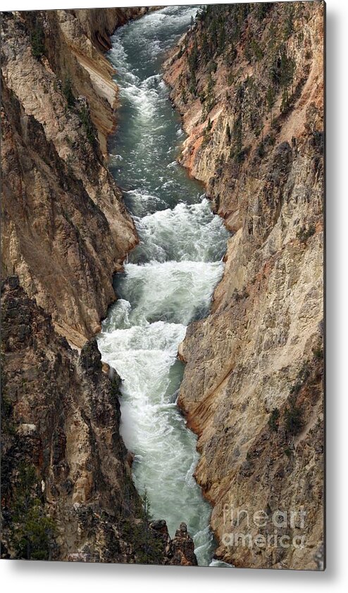 Lower Falls Metal Print featuring the photograph Water and Rock by Living Color Photography Lorraine Lynch