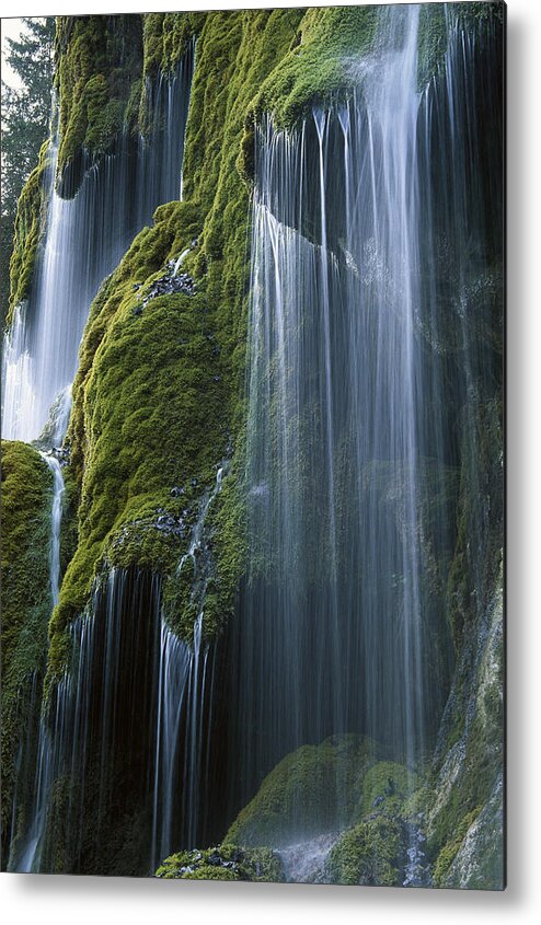 Mp Metal Print featuring the photograph Waterfall and Moss Bavaria by Konrad Wothe