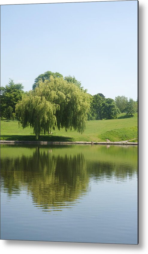 Willow Metal Print featuring the photograph Weeping willow tree. by Christopher Rowlands