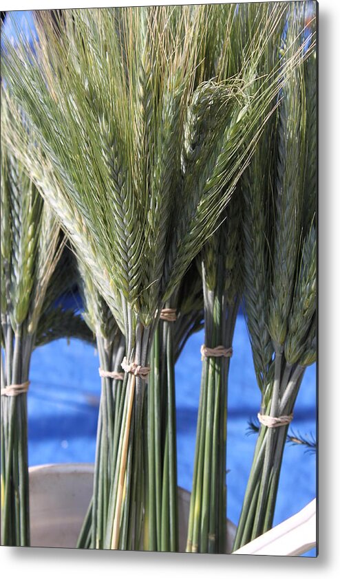 Wheat Metal Print featuring the photograph Wheat by Caroline Lomeli