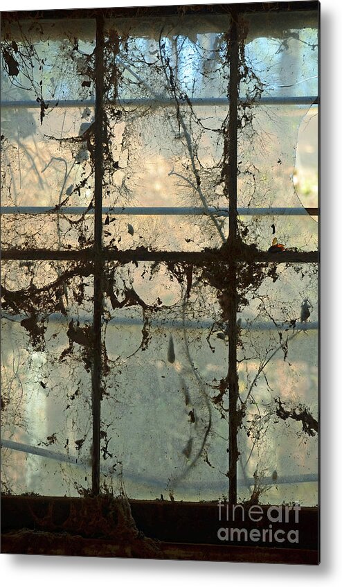 Window Vines Blue Sky Glass Reflection Old Building Metal Print featuring the photograph Window Vines by Patricia Caldwell