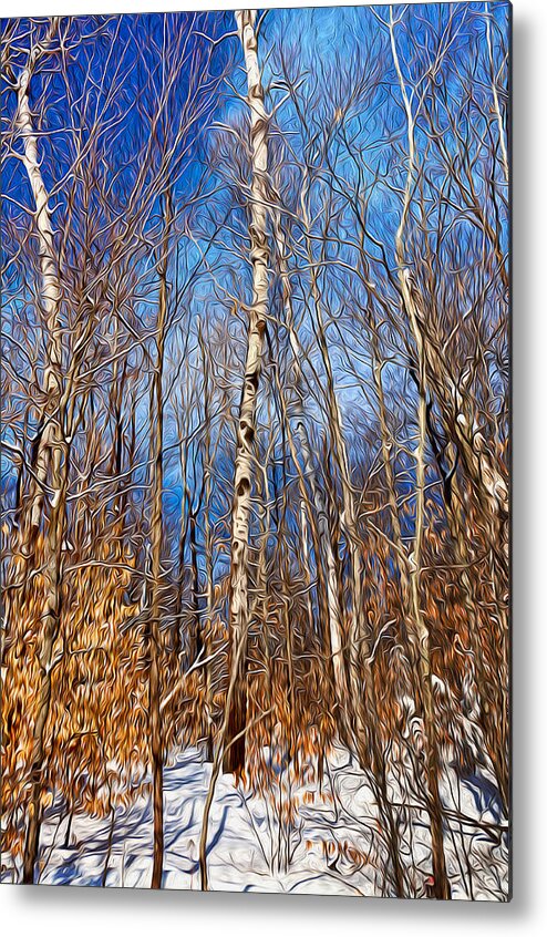 Winter Metal Print featuring the photograph Winter Landscape I by Celso Bressan