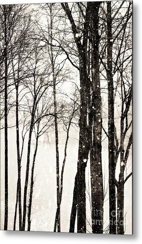 Snow Metal Print featuring the photograph Winter Landscape on Snowy Day by Kim Fearheiley