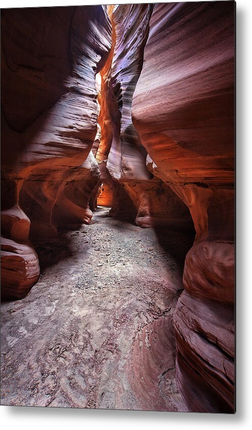 Happy Canyon Metal Print featuring the photograph Happy Canyon's Gallery by Alex Mironyuk