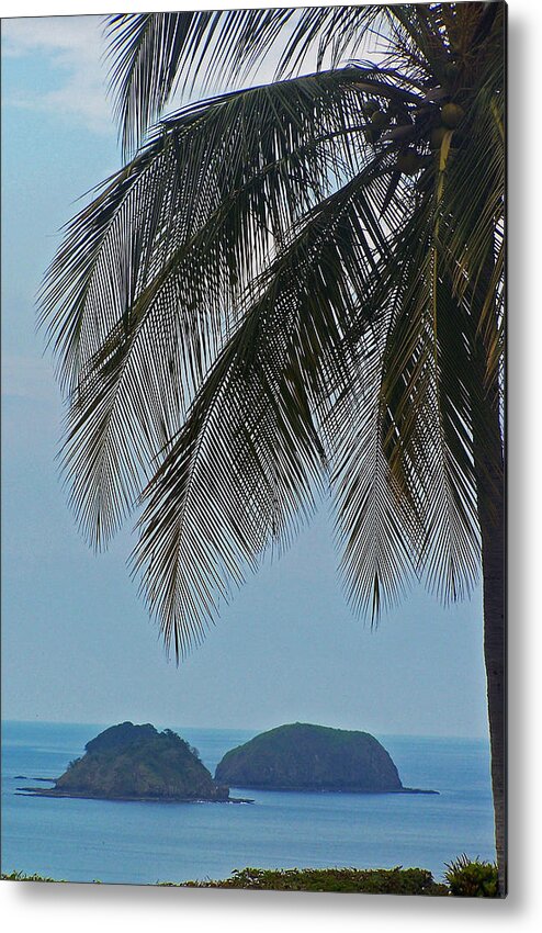 Palm Trees Metal Print featuring the photograph Islands Under the Palm by Jennifer Robin