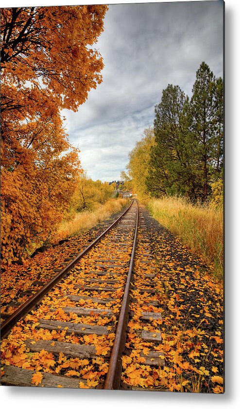 Autumn On The Tracks Metal Print featuring the photograph Autumn on the Tracks #2 by David Patterson