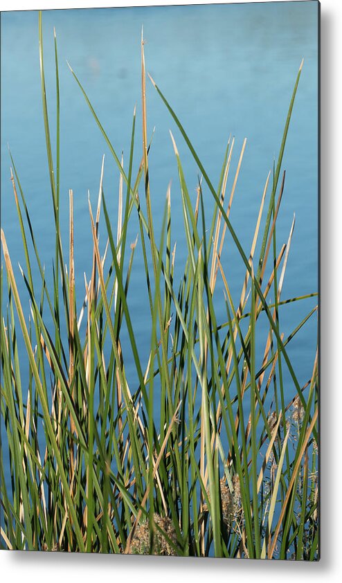 Water Metal Print featuring the photograph By the Water #1 by Laurel Powell