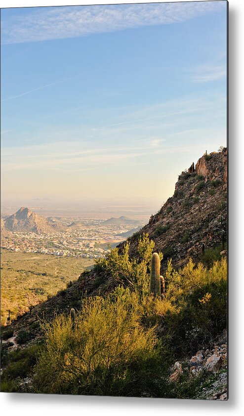 Arizona Metal Print featuring the photograph Cactus Mountain #1 by Tom Dowd