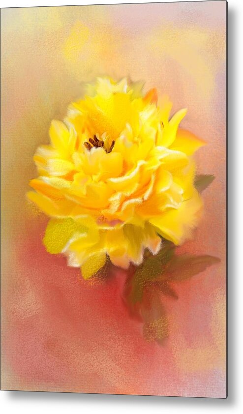 Dahlia Metal Print featuring the photograph Dahlia #1 by Mary Timman