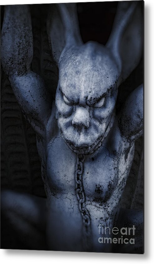 Demon Metal Print featuring the photograph Demon #1 by HD Connelly