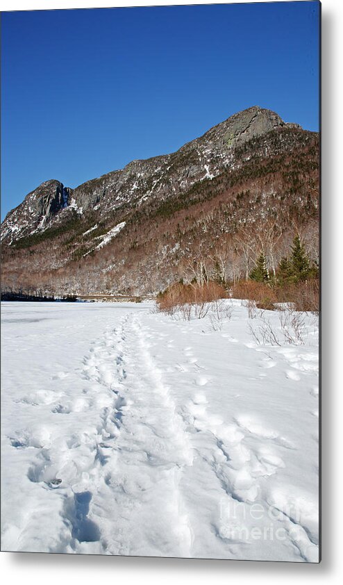 Franconia Notch State Park Metal Print featuring the photograph Eagle Cliff - White Mountains New Hampshire USA #1 by Erin Paul Donovan