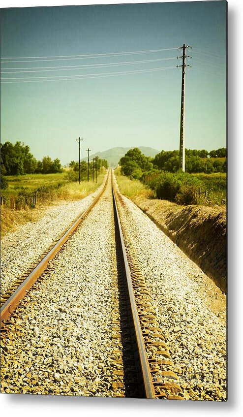 Vertical Metal Print featuring the photograph Empty Railway #1 by Carlos Caetano
