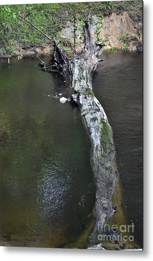 Nature Metal Print featuring the photograph Footbridge #1 by Skip Willits