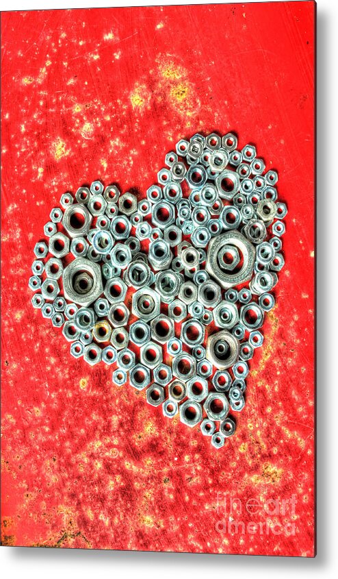 Heart Metal Print featuring the photograph Just A Nut At Heart #1 by Sarah Schroder
