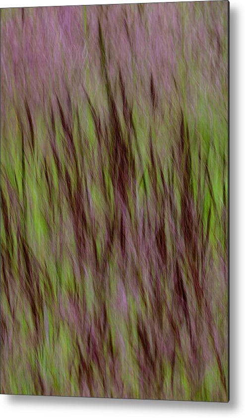 Grass Metal Print featuring the photograph Lake Grass #2 by Deborah Hughes