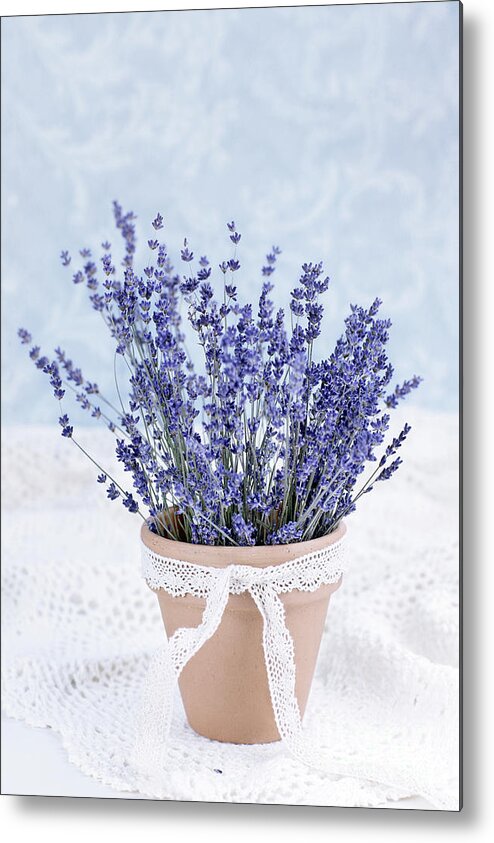 Lavender Metal Print featuring the photograph Lavender #1 by Stephanie Frey