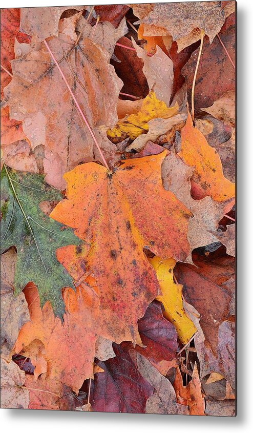 Abstract Metal Print featuring the digital art Leaves On The Ground Three #1 by Lyle Crump