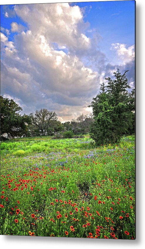 Heavenly Metal Print featuring the photograph Heaven and Nature Sing by Lynn Bauer