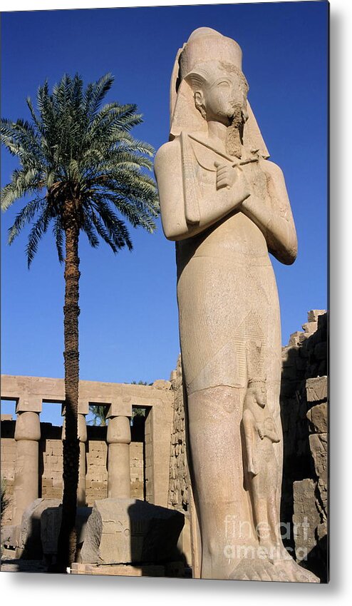 Africa Metal Print featuring the photograph Majestic statue of Ramses II at Karnak Temple #1 by Sami Sarkis