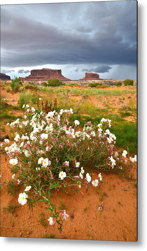 Canyonlands National Park Metal Print featuring the photograph Monitor and Merrimac #2 by Ray Mathis