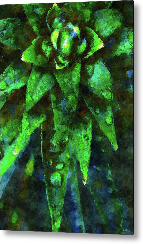 Plant Metal Print featuring the photograph Morning Dew On Plant by Phil Perkins