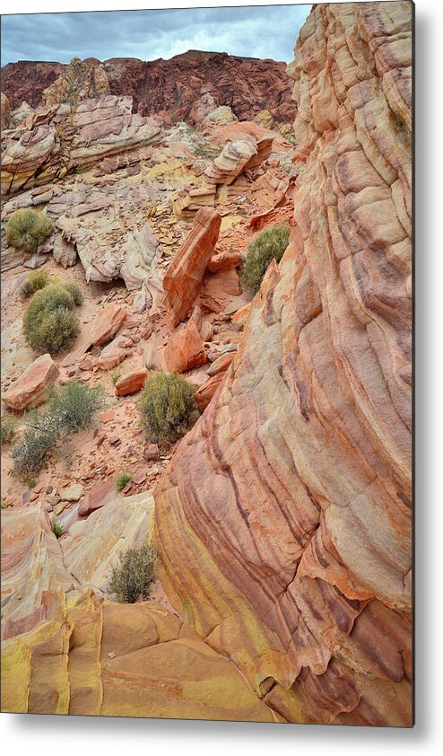 Valley Of Fire State Park Metal Print featuring the photograph Multicolored Wave of Sandstone in Valley of Fire #1 by Ray Mathis